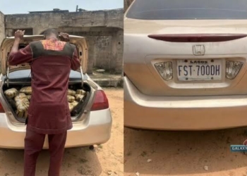 Police Intercept Vehicle With 400 Wraps Of Suspected Indian Hemp