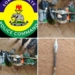 Police Foil Bandit Attack In Sokoto Village, Recover Rocket Launchers, Weapons