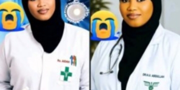 Twin Sisters, Medical Professionals, Die 2 Days Apart