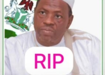 Bauchi Health Agency Boss Duguri, 4 Children Die In Road Accident