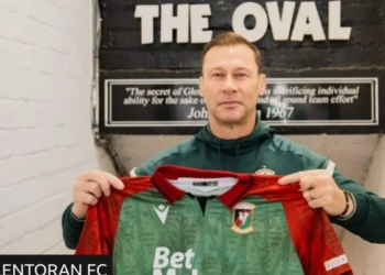 Glentoran Appoint Ferguson As New Manager