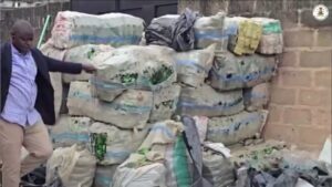 NAFDAC Uncovers Residential Building Stockpiling Over 100 Sacks Of Empty Alcohol Bottles For Suspected Counterfeiting 3 Screenshot 20261023 113934 X