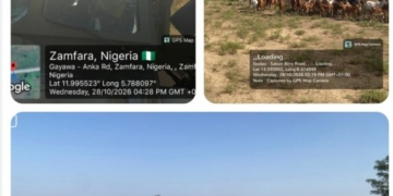 Troops Foil Ambush In Zamfara, Rescue 2 Herders, Recover 520 Livestock In Sokoto
