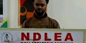 Court Jails Italy-Based Nigerian For 15 Years For Cocaine Trafficking