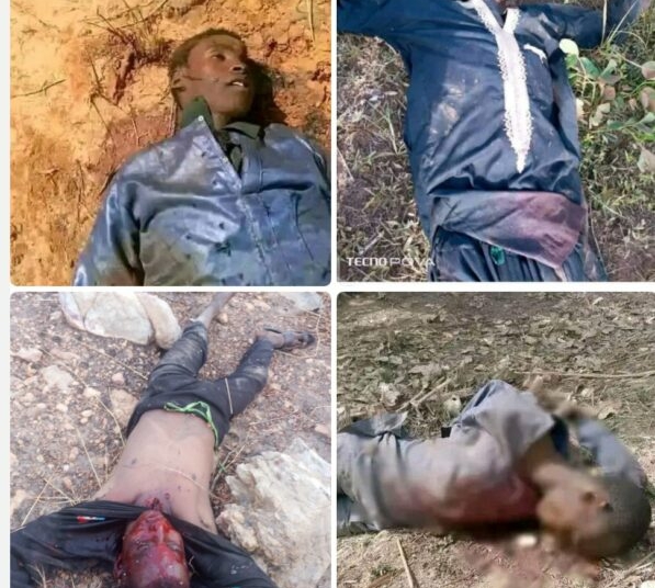 Police Kill 30 Bandits, Foil Attack On Zamfara Community 1 Screenshot 20261031 151123
