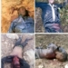 Police Kill 30 Bandits, Foil Attack On Zamfara Community 4 Police Kill 30 Bandits, Foil Attack On Zamfara Community