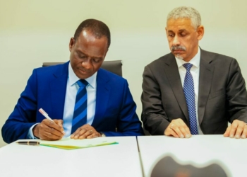AfDB Builds Facility to Challenge Ratings Driving Africa’s Borrowing Costs
