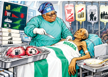 Nigeria @66: The Sovereign’s Scalpel And The Unfed Patient