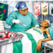 Nigeria @66: The Sovereign’s Scalpel And The Unfed Patient 5 Nigeria @66: The Sovereign’s Scalpel And The Unfed Patient