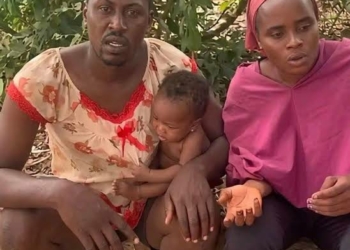 Bandits Release Abducted Kaduna Couple, Baby