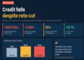 MSMEs, Analysts Say CBN Rate Cut Yet To Ease Credit As Private Lending Falls By N537.6bn