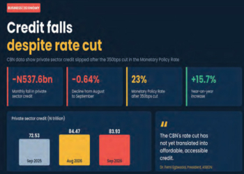 MSMEs, Analysts Say CBN Rate Cut Yet To Ease Credit As Private Lending Falls By N537.6bn