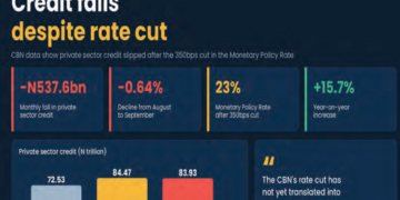 MSMEs, Analysts Say CBN Rate Cut Yet To Ease Credit As Private Lending Falls By N537.6bn 2 MSMEs, Analysts Say CBN Rate Cut Yet To Ease Credit As Private Lending Falls By N537.6bn