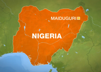 Germany Supports Nigeria’s Food Security Drive