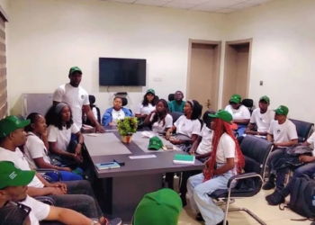 Young Nigerians Tackle Primary Healthcare Gaps Across Communities
