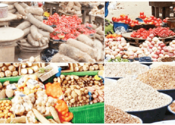 World Food Day: Invest In Storage, Processing To Cut Food Imports, Farmers Urge