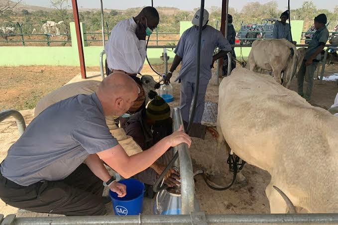 Dairy Production Programme Trains 61,000 SmallHolders Farmers In 6 Years 1 images 2026 10 01T084521.987