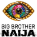 ‎Big Brother Naija : The Journey So Far As Season 11 Ends On Sunday   ‎