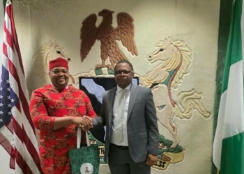 Envoy, Okolo Meet, Identify Opportunities For Stronger Diaspora Participation