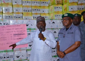 Customs Hand Over Seized Pesticides, Cannabis, Ammunition To Regulators