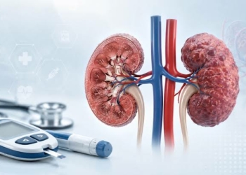 Hypertension, Diabetes Raise Kidney Failure Risk – Expert