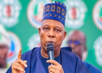 Fed Govt To Strengthen Healthcare, Education—Shettima