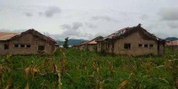 Parents, Stakeholders Groan As Weeds, Reptiles Take Over Abandoned School