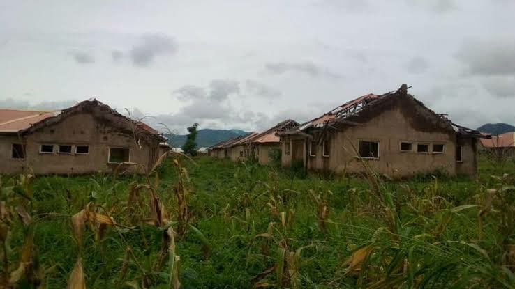 Parents, Stakeholders Groan As Weeds, Reptiles Take Over Abandoned School 1 images 2026 10 25T075248.034