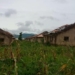 Parents, Stakeholders Groan As Weeds, Reptiles Take Over Abandoned School 5 Parents, Stakeholders Groan As Weeds, Reptiles Take Over Abandoned School