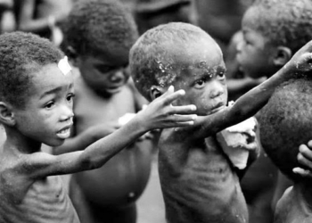 Nigeria, US Organisation To Tackle Child Malnutrition