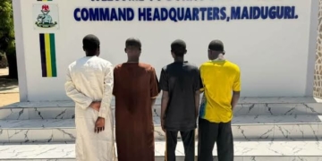 Borno Police Arrest Four Over Alleged N285,000 Fraud, Recover 40 ATM Cards