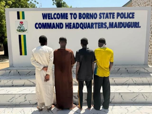 Borno Police Arrest Four Over Alleged N285,000 Fraud, Recover 40 ATM Cards 1 images 2026 10 30T091924.238