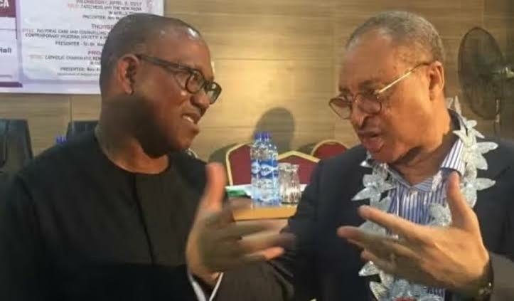 2027: Obi’ll Strengthen Naira To N500/$1, Halve Prices Of Goods If Elected - Utomi