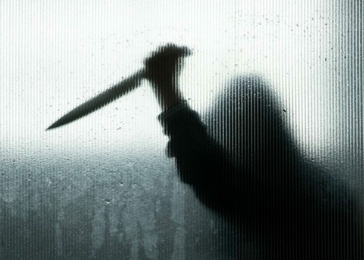 Bauchi Car Wash Worker Allegedly Killed By Friend Over Profit-Sharing Dispute 1 murder ss