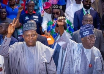 Shettima Defends Tinubu’s Devt Record, Cites NEDC’s Billions In North-East Projects