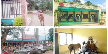 From Live Animals To Statues: The Decline Of Nigeria’s Zoos